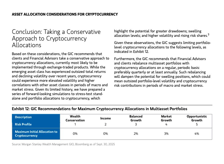 morgan stanley report.jpg